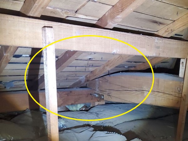 天井裏の雨漏り点検　雨漏り箇所を確認